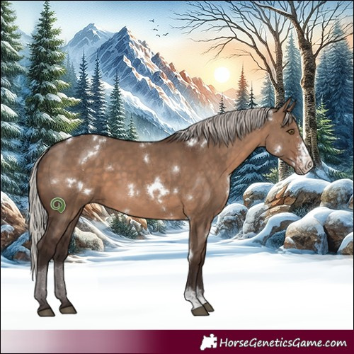 Horse Color:White Spotted Silver Brown Dun Sabino 