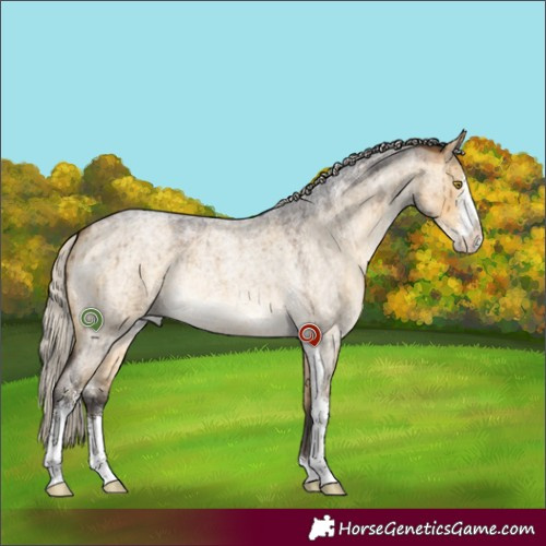 Horse Color:Silver Buckskin Roan Dun Sabino Brindle 