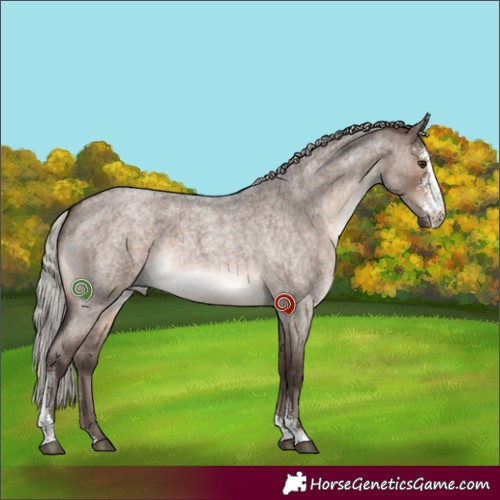 Horse Color:Silver Brown Roan Dun Sabino Brindle 