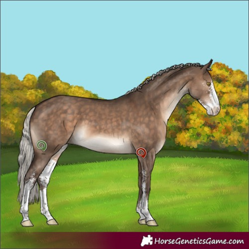 Horse Color:Silver Brown Dun Sabino 