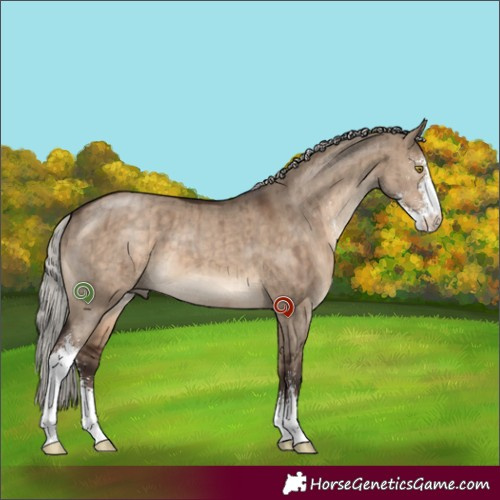 Horse Color:Silver Brown Dun Sabino Brindle 