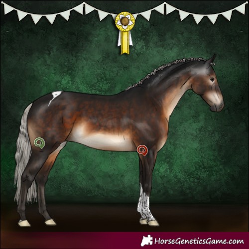 Horse Color:Gray Silver Brown Tobiano Rabicano 