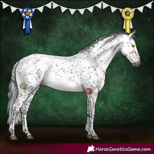 Horse Color:Gray Brown Dun Sabino Brindle 