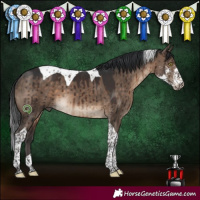 Horse Color:Brown Dun Sabino Tobiano Brindle 