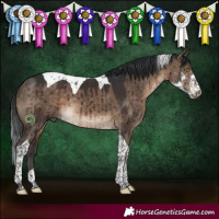 Horse Color:Brown Dun Sabino Tobiano Brindle 