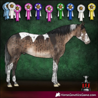 Horse Color:Brown Dun Sabino Tobiano Brindle 