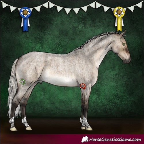 Horse Color:Gray Silver Brown Roan Dun Mushroom Tobiano Brindle 