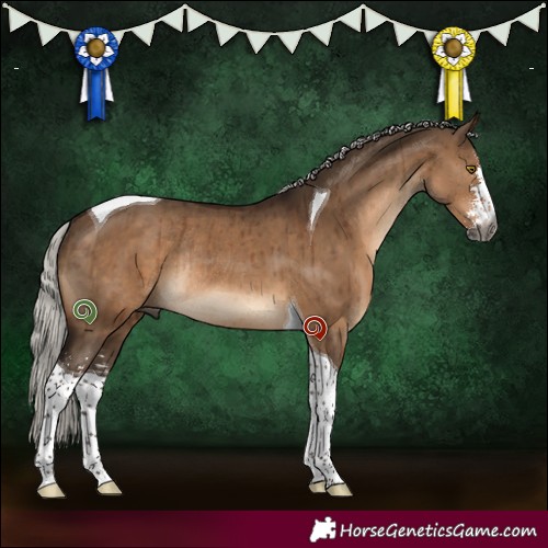 Horse Color:Gray Silver Bay Dun Mushroom Sabino Tobiano Rabicano Brindle 