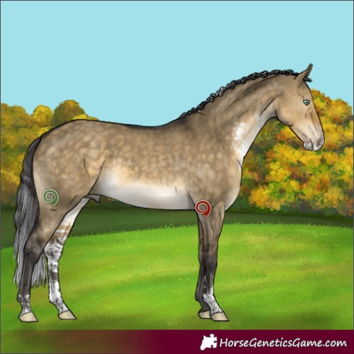 Horse Color:Buckskin Dun Mushroom Sabino 