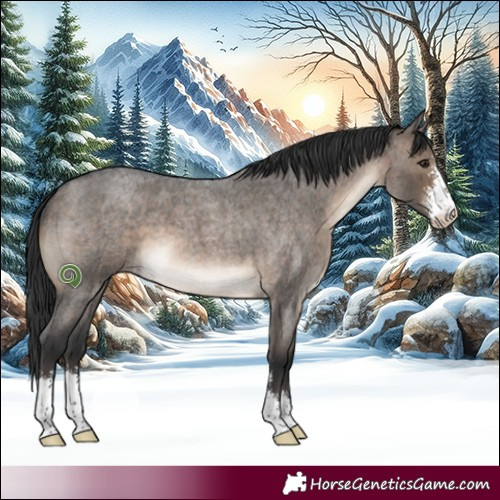 Horse Color:Brown Roan Dun Sabino