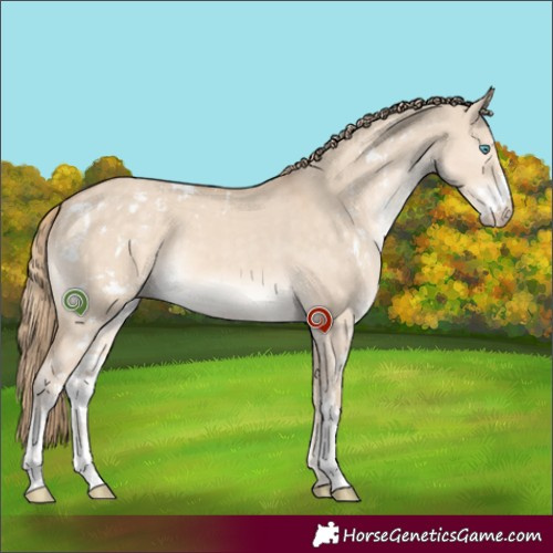 Horse Color:Perlino Dun Sabino 