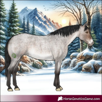 Horse Color:Brown Roan Dun Mushroom Sabino 