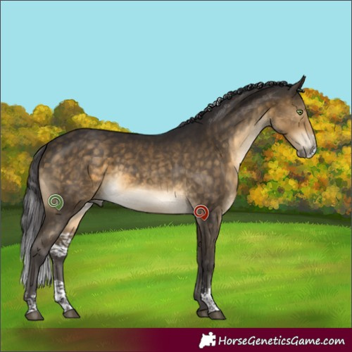 Horse Color:Buckskin Sabino 