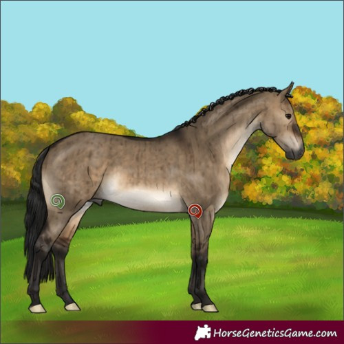 Horse Color:Gray Brown Dun Brindle 