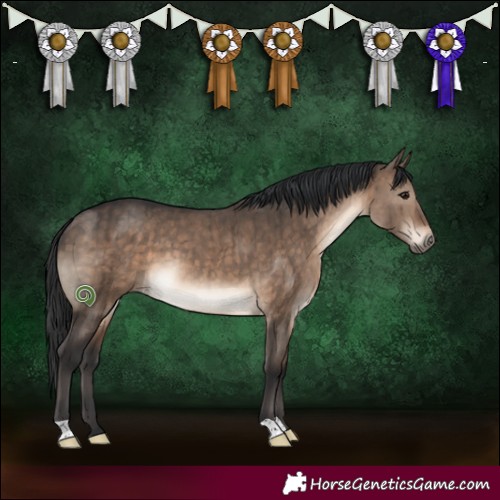 Horse Color:Brown Dun Brindle 