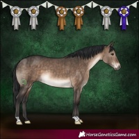 Horse Color:Brown Dun Brindle