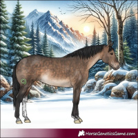 Horse Color:Brown Dun Sabino Rabicano Brindle