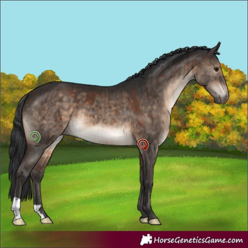 Horse Color:Brown Dun Brindle 