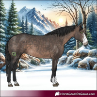 Horse Color:Brown Dun Mushroom Sabino 