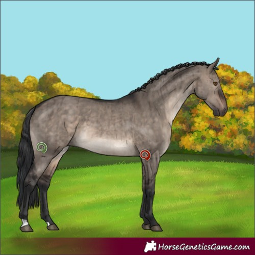 Horse Color:Brown Dun Mushroom Brindle 