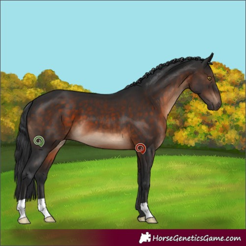 Horse Color:Brown 