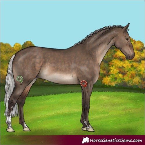 Horse Color:Silver Brown Dun Sabino 