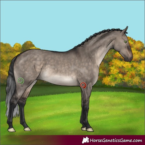 Horse Color:Brown Dun Mushroom Sabino 