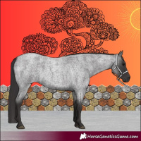 Horse Color:Smoky Blue Roan 