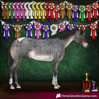 Horse Color:Brown Roan Mushroom Tobiano 
