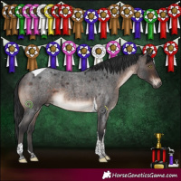 Horse Color:Brown Roan Mushroom Tobiano