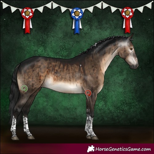 Horse Color:Gray Brown Dun Mushroom Sabino Tobiano Brindle 