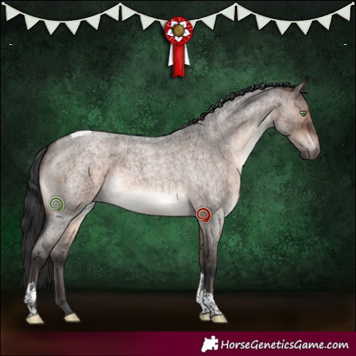 Horse Color:Brown Roan Dun Mushroom Tobiano Brindle 
