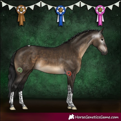 Horse Color:Gray Brown Dun Sabino Tobiano 