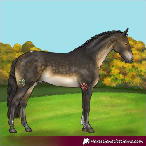 Horse Color:Buckskin Mushroom Tobiano 