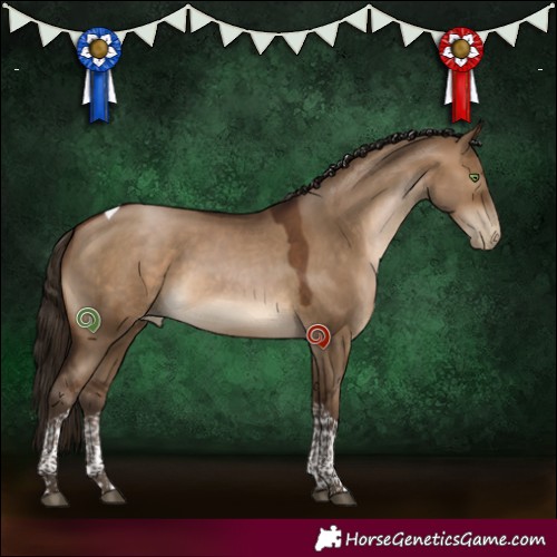 Horse Color:Gray Brown Pearl Dun Tobiano 