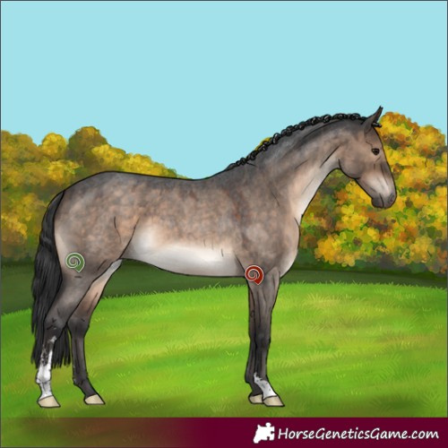 Horse Color:Brown Roan Dun Sabino 