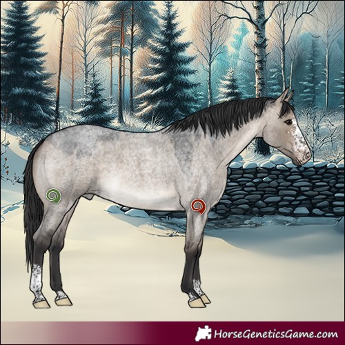 Horse Color:Brown Roan Dun Sabino 