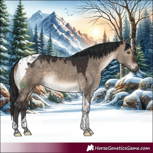 Horse Color:Brown Dun Tobiano 