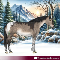 Horse Color:Brown Dun Tobiano 