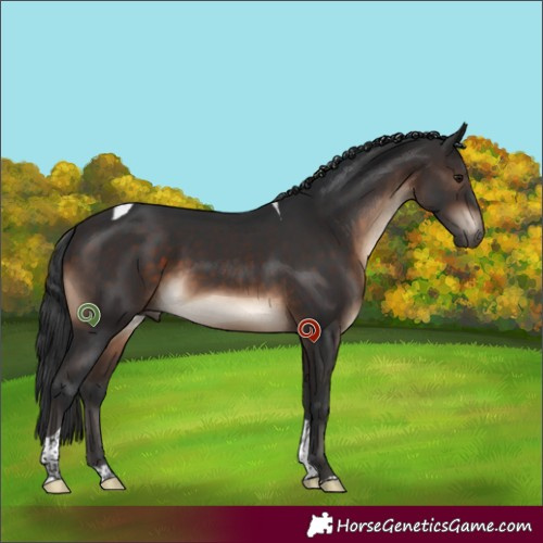 Horse Color:Brown Sabino Tobiano 