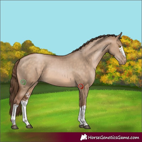 Horse Color:White Spotted Brown Pearl Dun Sabino 