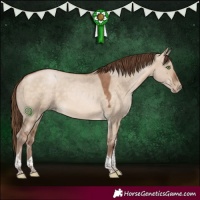 Horse Color:Brown Pearl Dun Tobiano