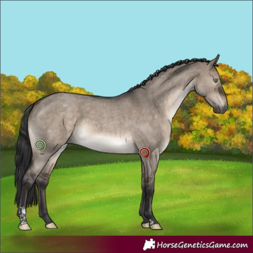 Horse Color:Brown Roan Dun Sabino 