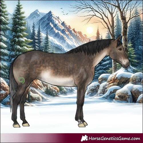 Horse Color:Brown Dun Sabino Brindle
