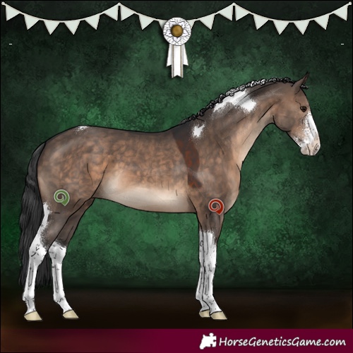 Horse Color:Brown Dun Sabino Tobiano 