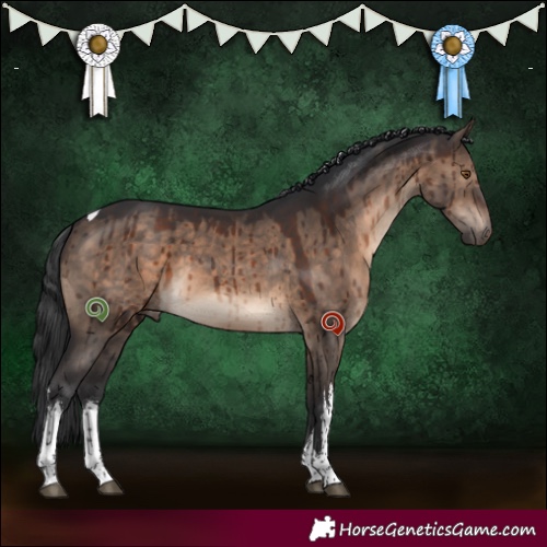 Horse Color:White Spotted Brown Dun Tobiano Brindle 