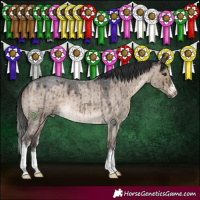 Horse Color:White Spotted Brown Roan Dun Brindle 