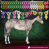 Horse Color:White Spotted Brown Roan Dun Brindle