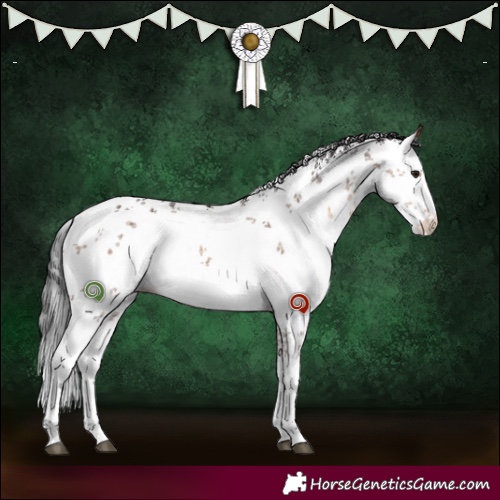 Horse Color:White Spotted Brown Dun Sabino 