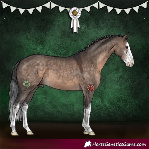 Horse Color:White Spotted Brown Dun 